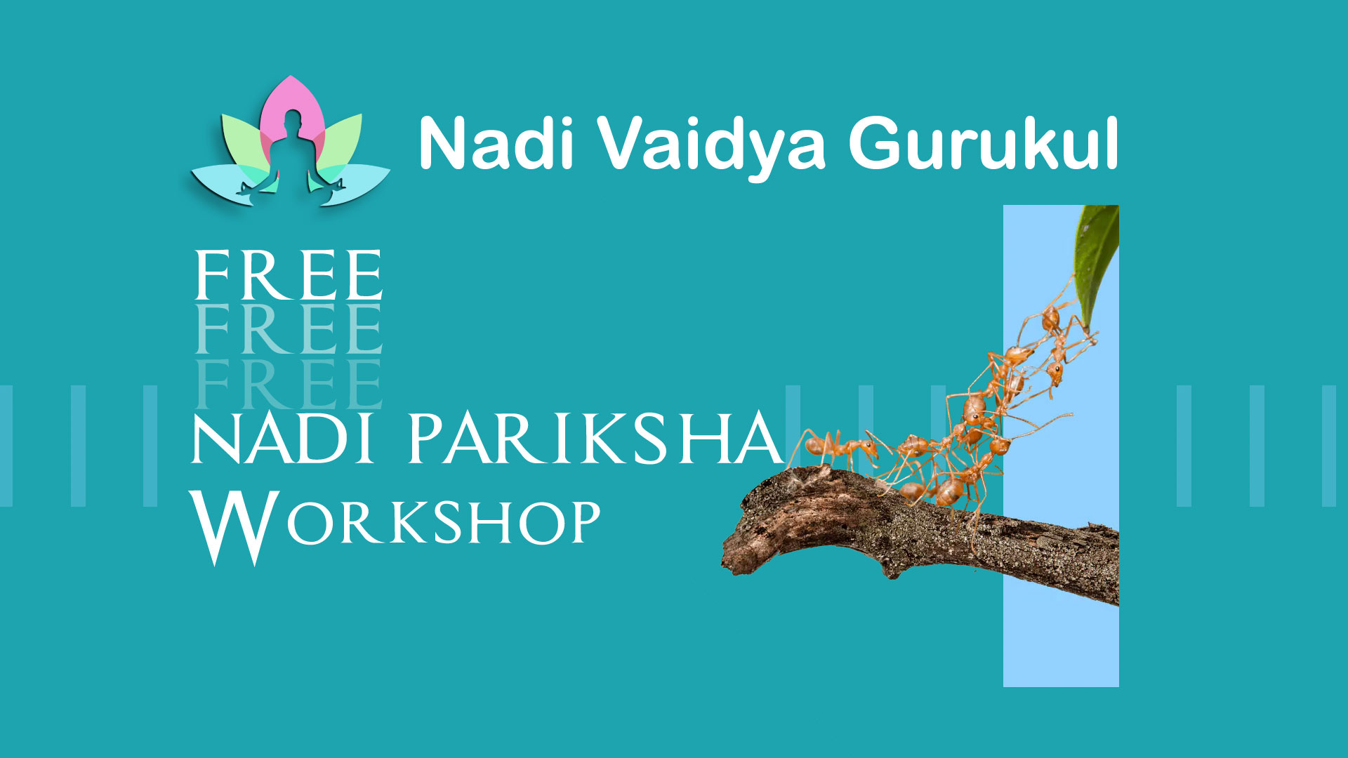 Nadi Vaidya Workshop