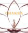 CHAKRAS – Holistic Health & Well-being